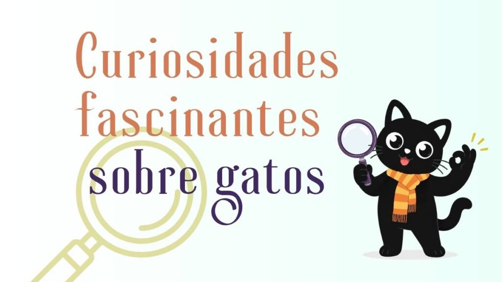 Curiosidade fascinante sobre gatos