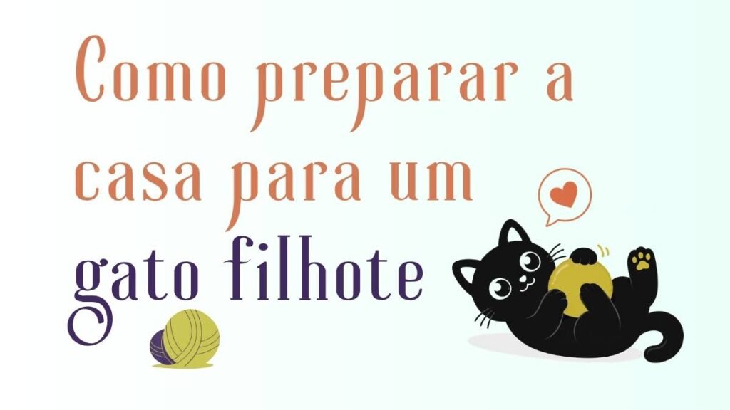 Como preparar a casa para um gato filhote