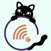 Gatos na Web