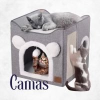 Cama para gatos